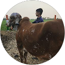 Prins Malaviya profile picture